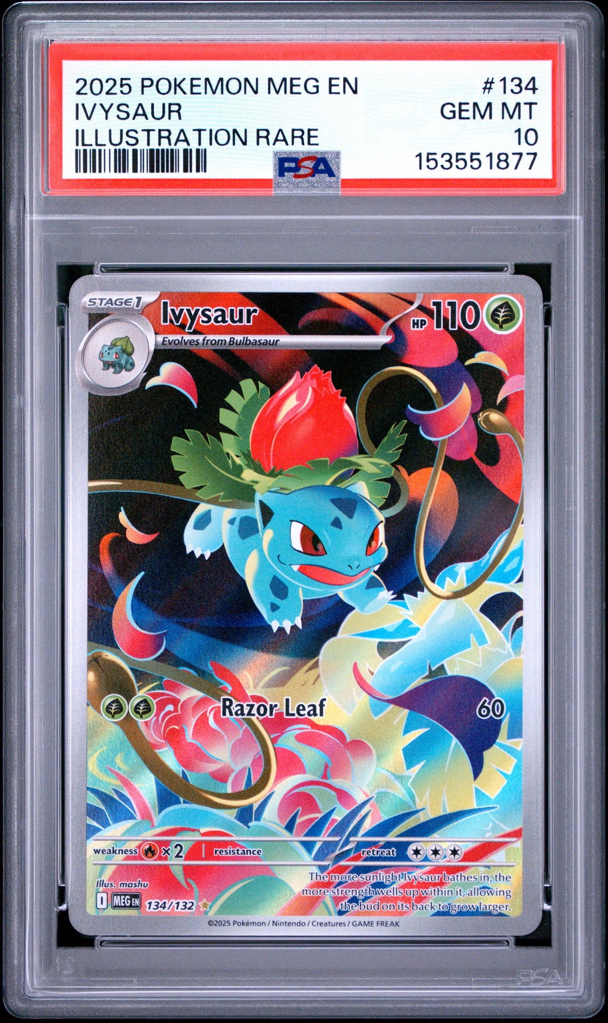 Pokémon - PSA 10 Ivysaur 134/132 Mega Evolution