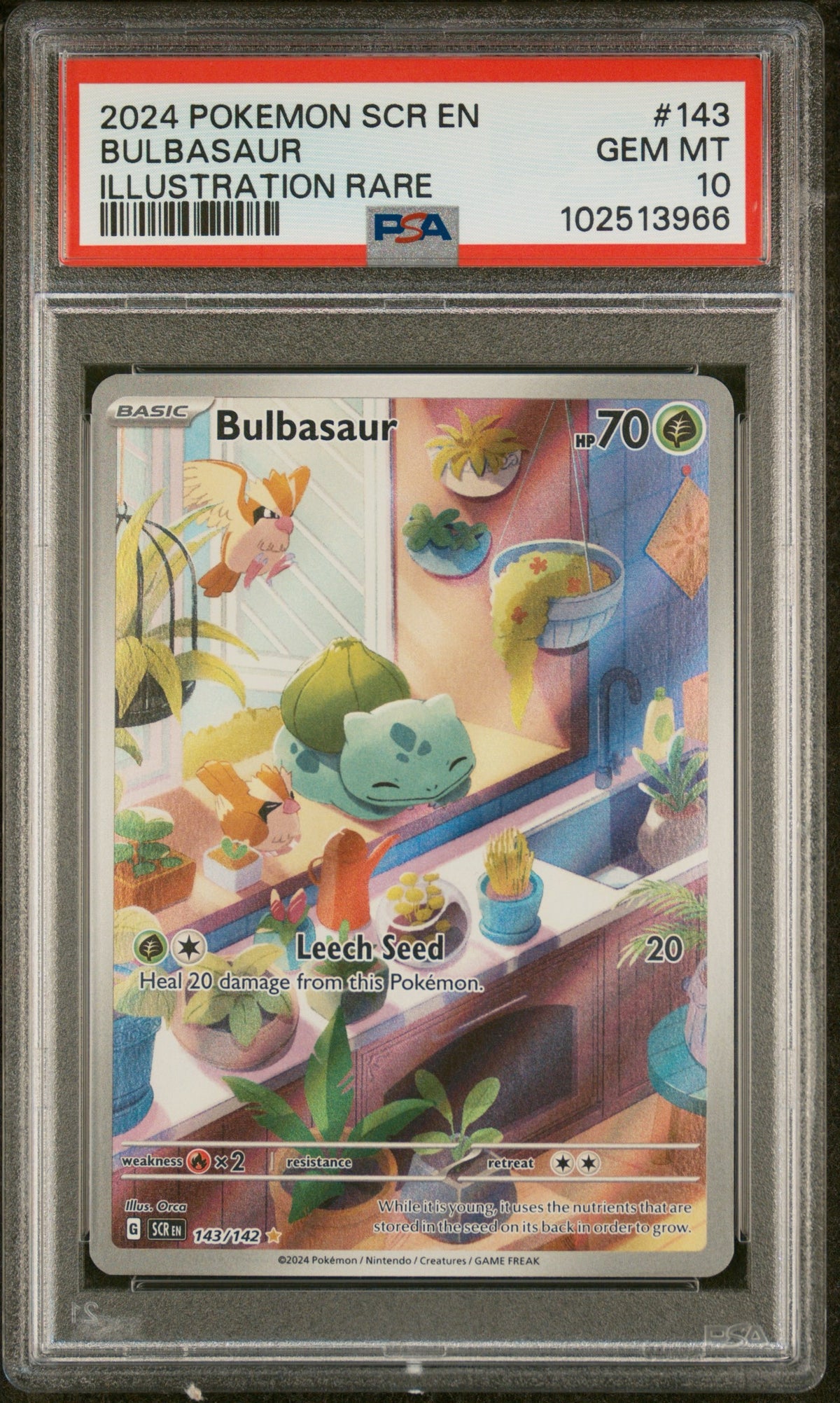 Pokémon - PSA 10 Bulbasaur 143/142 Stellar Crown