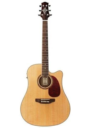 ASHTON ACOUSTIC GUIAR SPD25NT- SOFT CASE - Mega Cash Sydney