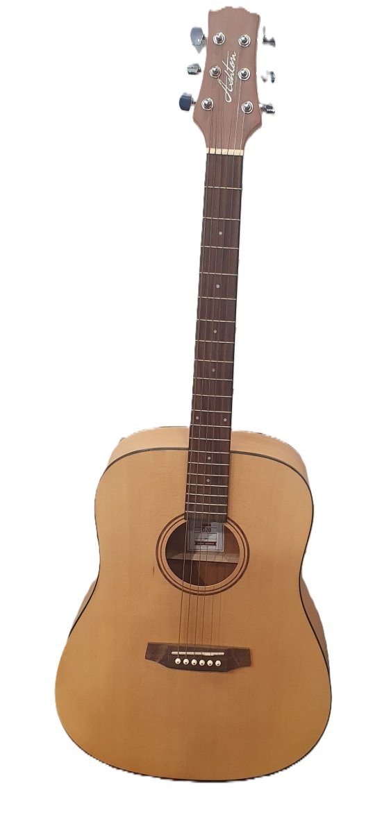 ASHTON - D20 - Acoustic Guitar - Mega Cash Sydney