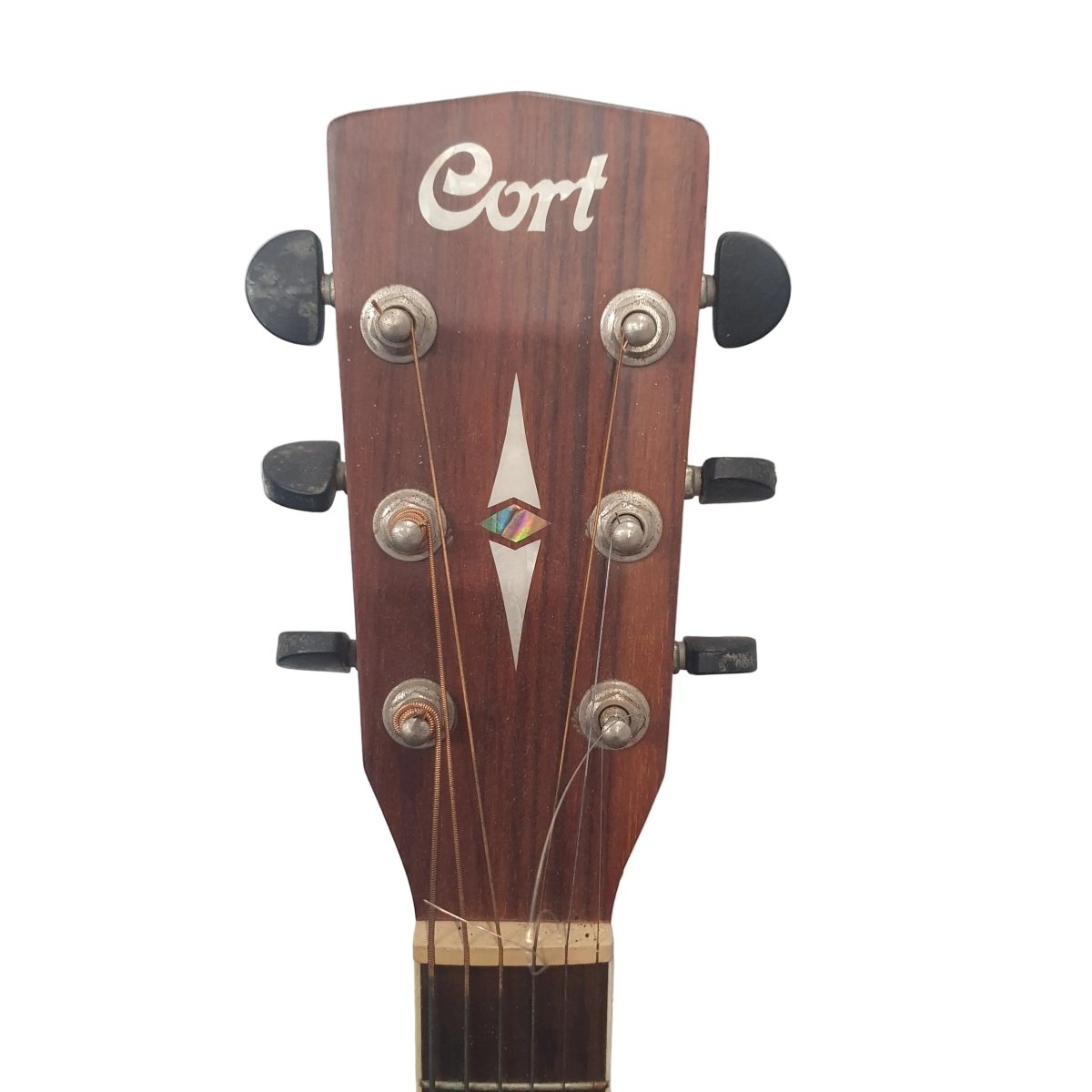 CORT - Earth100 - Left Handed - Acoustic Guitar - Mega Cash Sydney