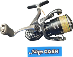 DAIWA'S - 24 TD Black MQ 2500D - Fishing Reel - Mega Cash Sydney