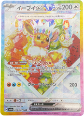 EEVEE EX 224/187 JPN TERASTAL FESTIVAL - Mega Cash Sydney