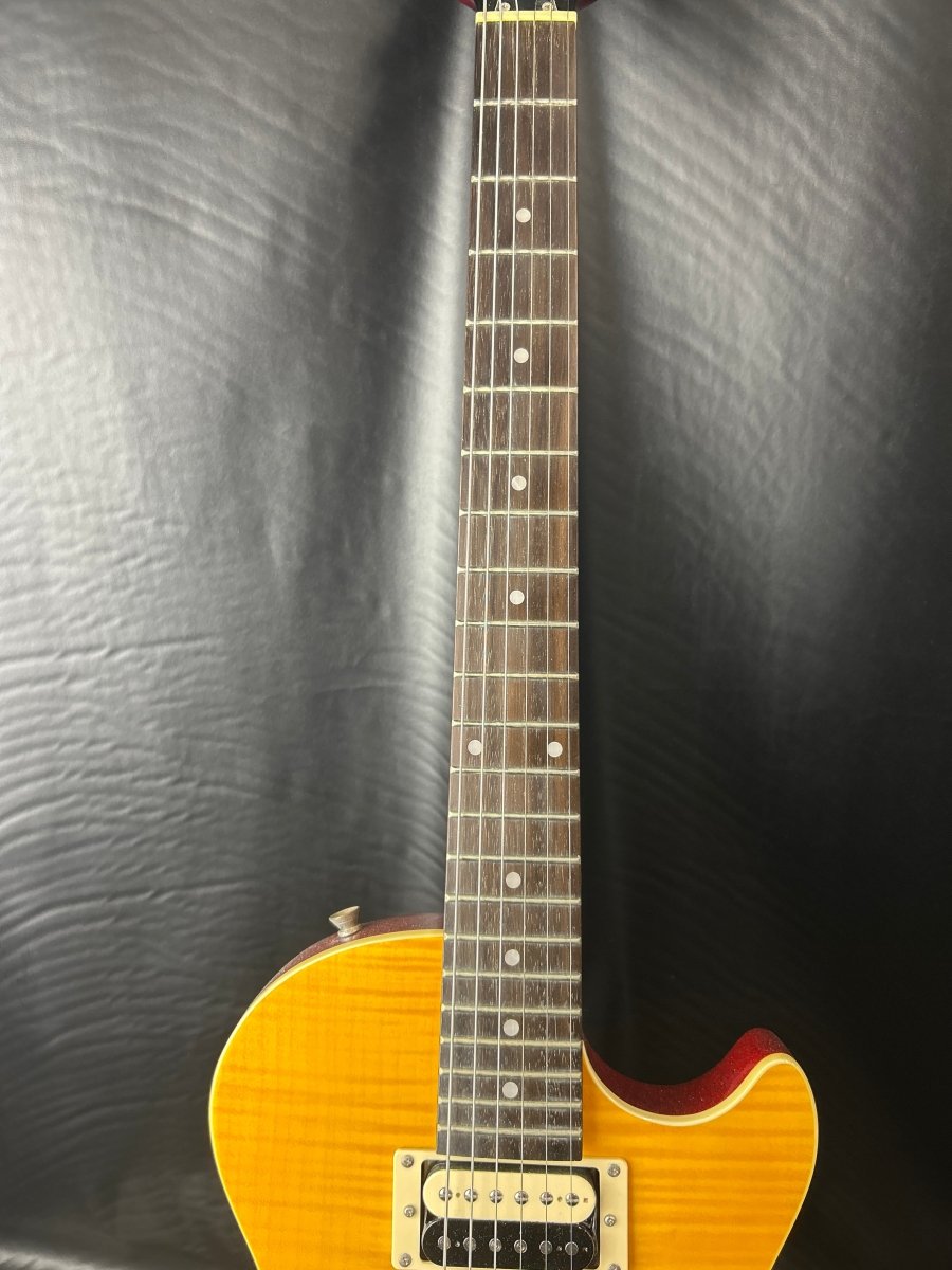 Epiphone Slash AFD Les Paul Special - II 6 - String Electric Guitar - Mega Cash Sydney