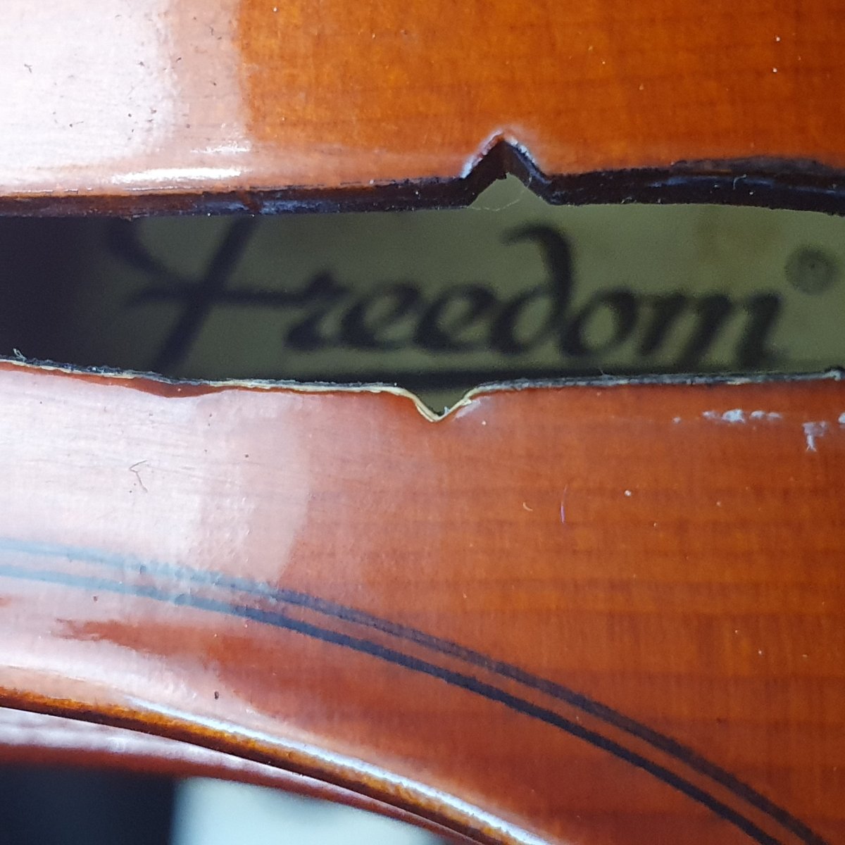 Freedom MV005 1/2 Violin - Mega Cash Sydney