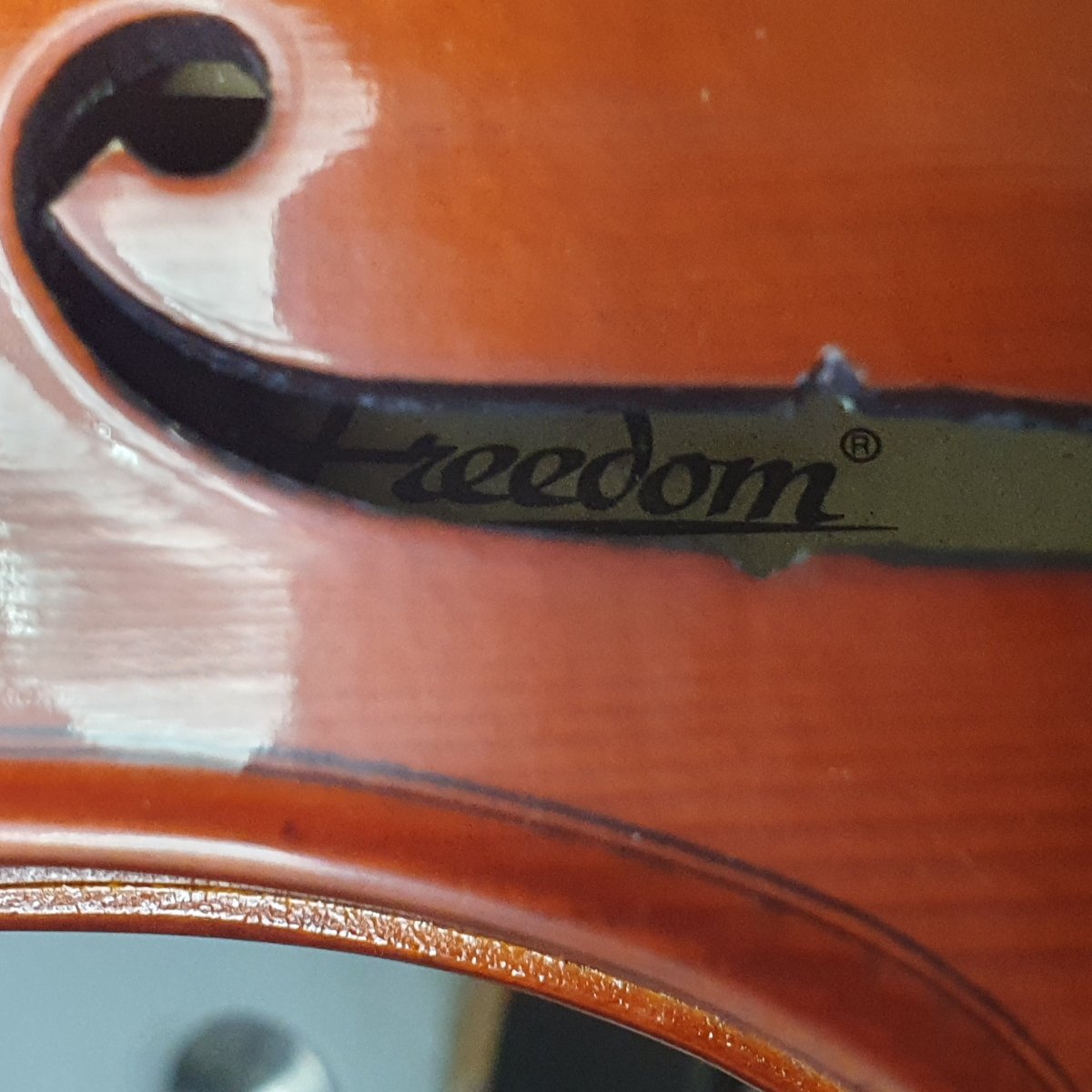 Freedom MV005 3/4 Violin - Mega Cash Sydney