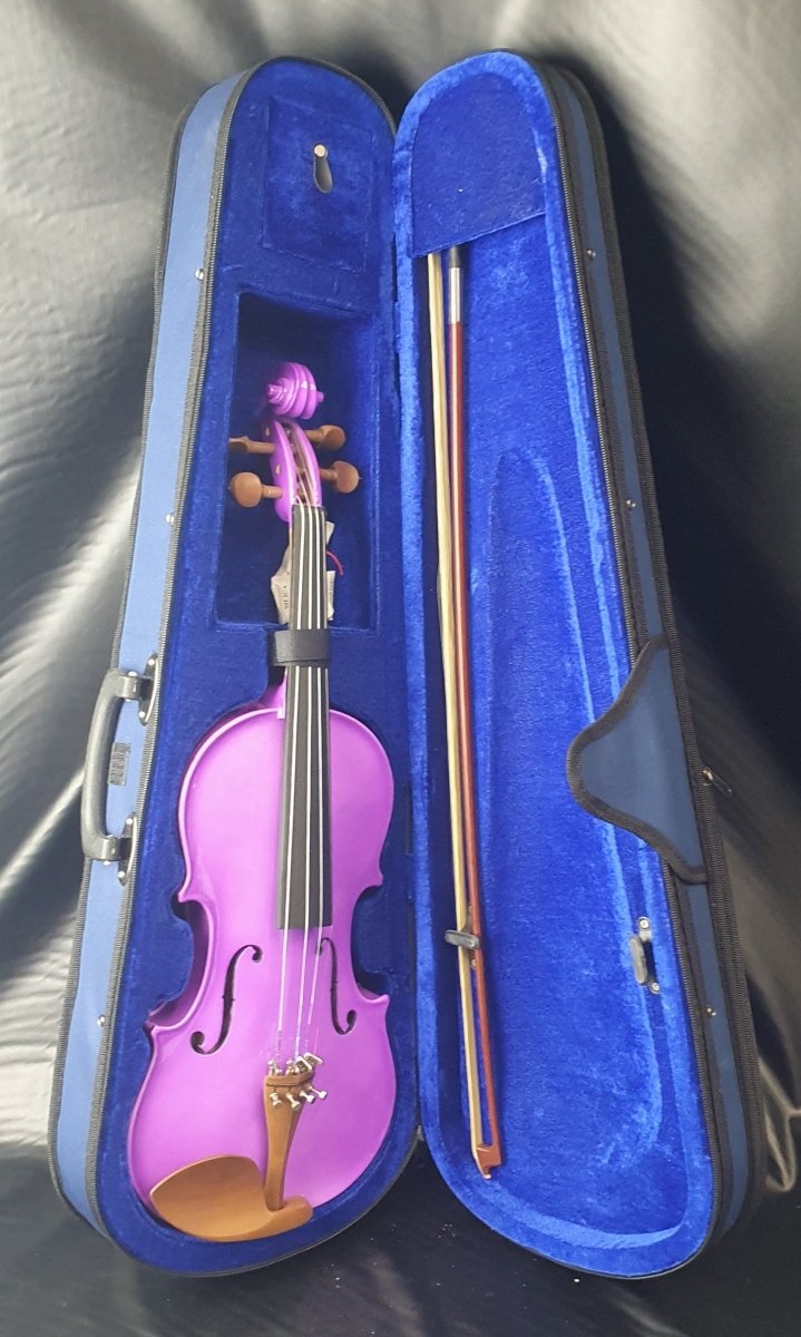 Freedom MV100 4/4 Violin - Mega Cash Sydney