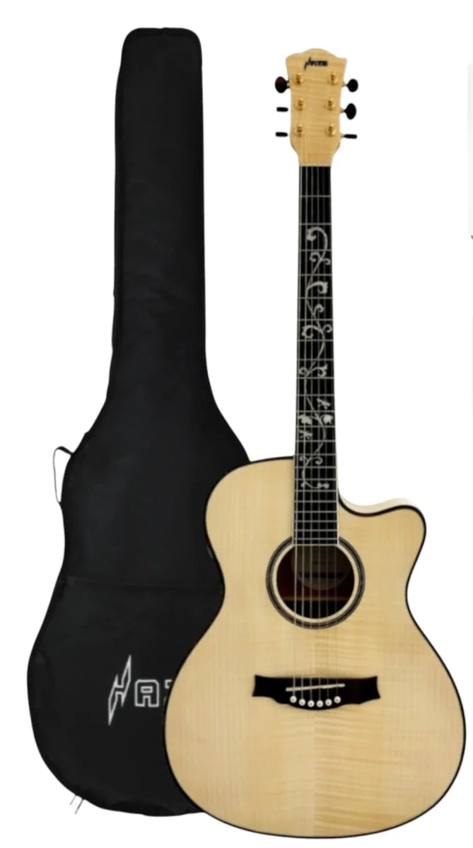 HAZE GUITAR SDG837SPCEQN WITH SOFT CASE - Mega Cash Sydney