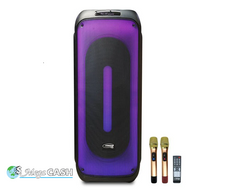Precision Audio 600W Portable Karaoke Speaker Bluetooth Twin Wireless Microphones LG1200