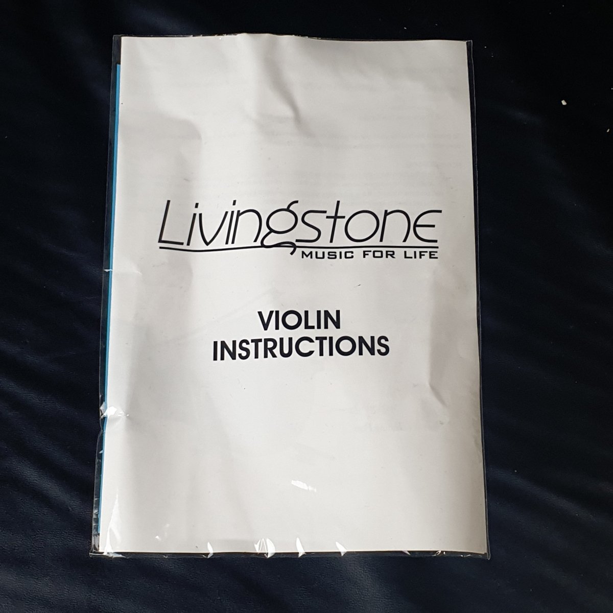Livingstone 4/4 Violin - Mega Cash Sydney