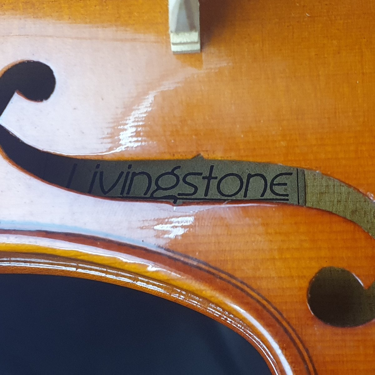 Livingstone 4/4 Violin - Mega Cash Sydney