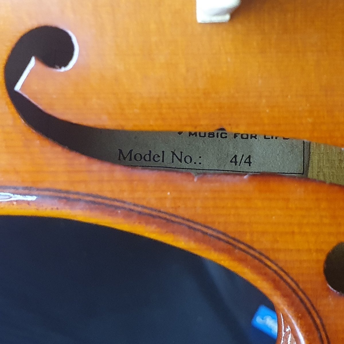 Livingstone 4/4 Violin - Mega Cash Sydney