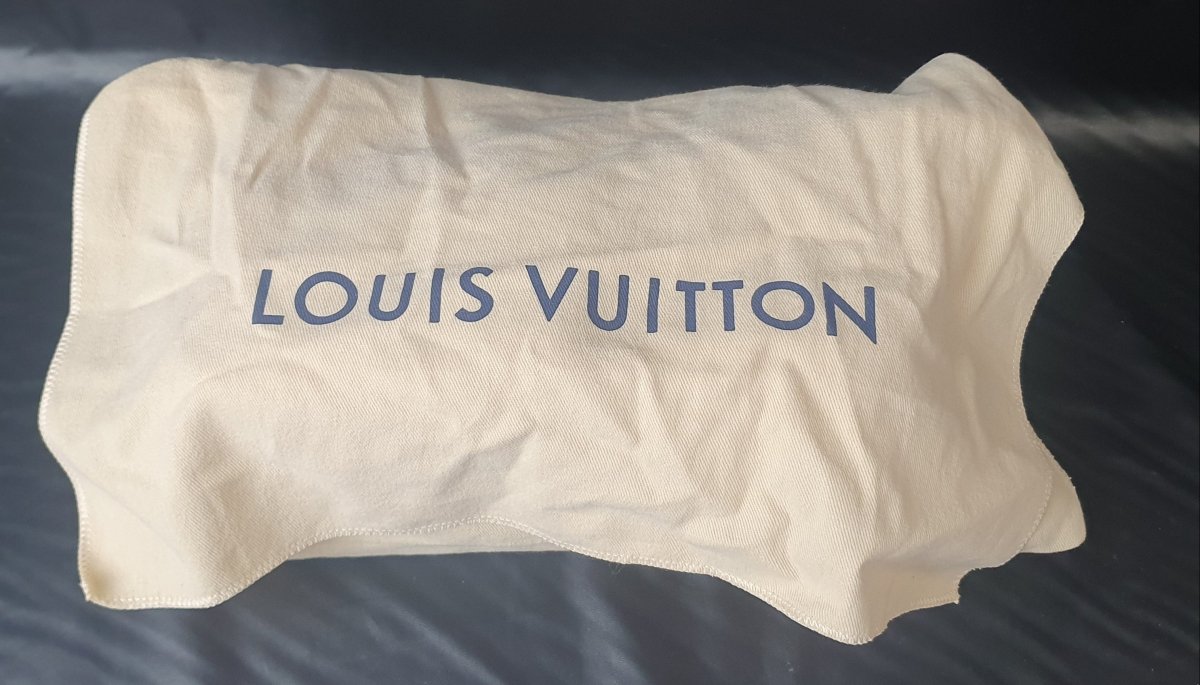 Louis Vuitton - Diane Monogram Bag - Mega Cash Sydney