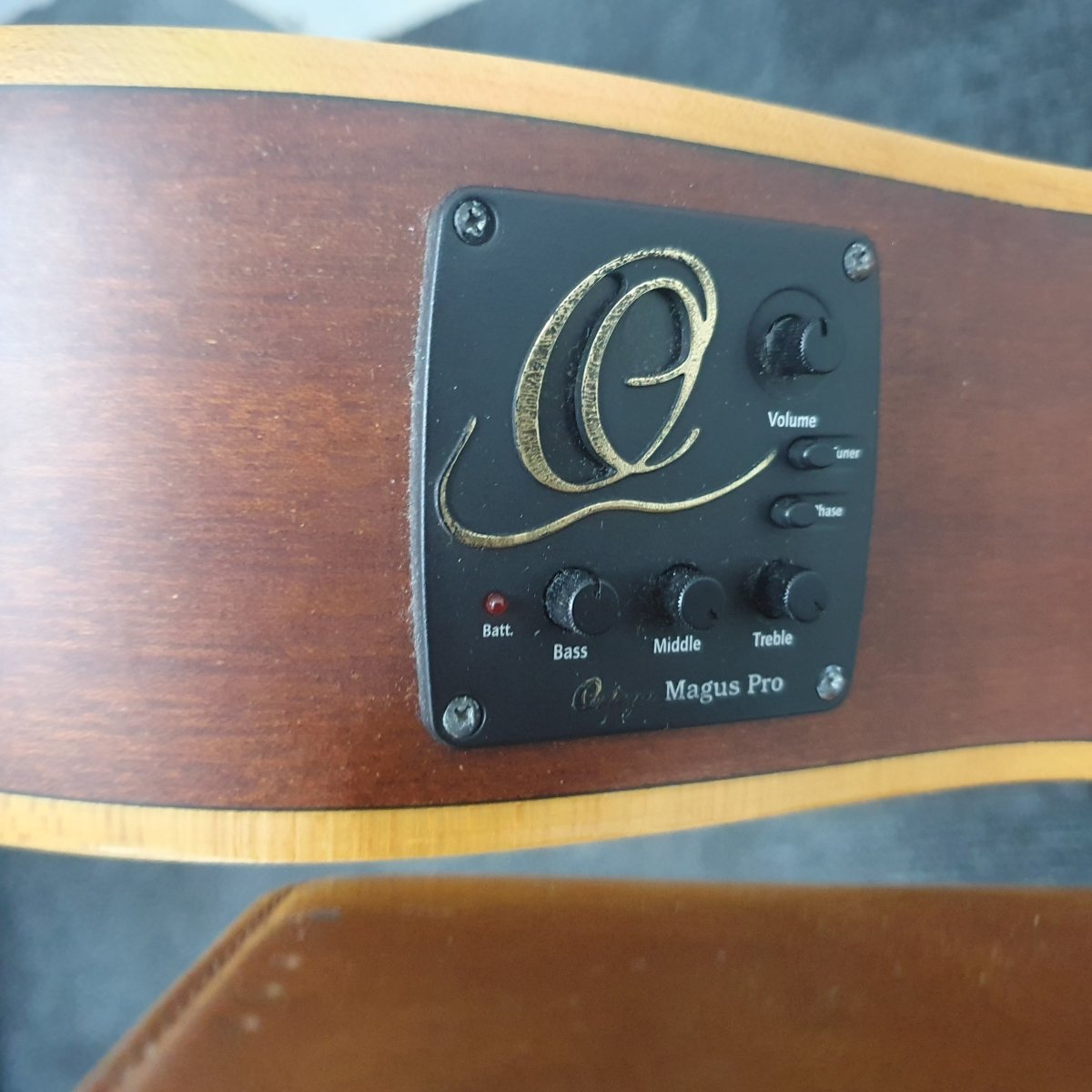 Ortega - Thinline - Classic Semi Acoustic Guitar - Mega Cash Sydney