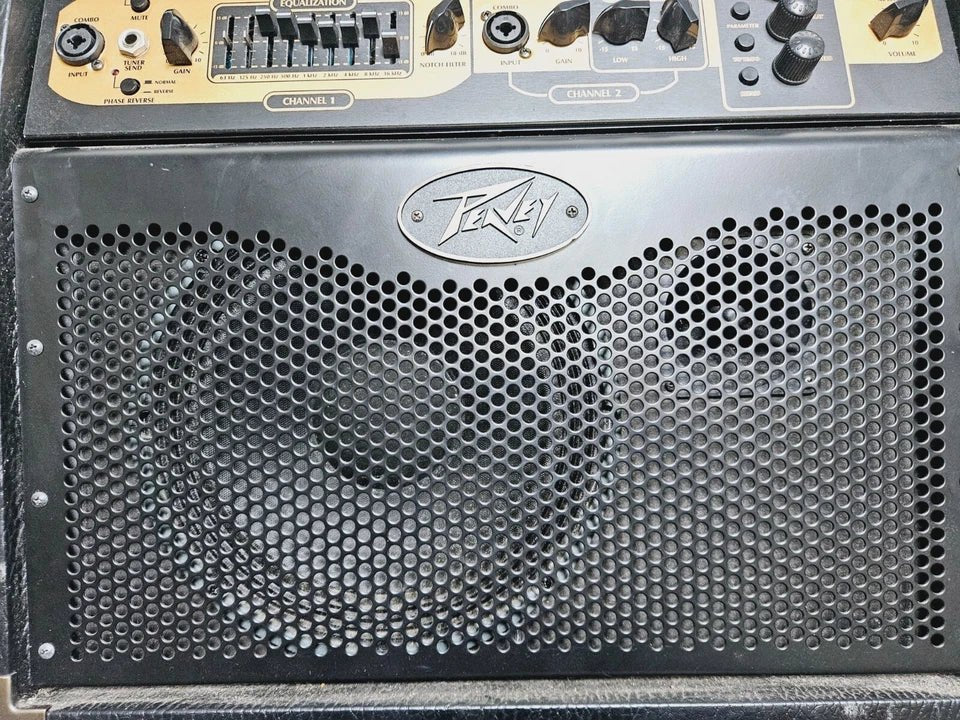 Peavey Ecoustic 110 Acoustic Guitar Amplifier *Channel 1 not working* - Mega Cash Sydney