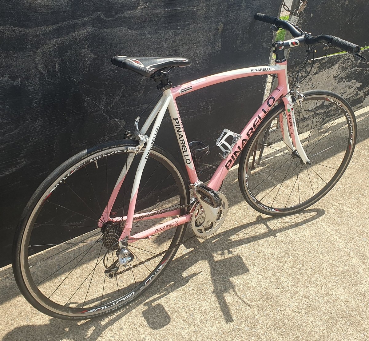 Pinarello Treviso - Aluminium Road Bike - Shimano Sora - Mega Cash Sydney