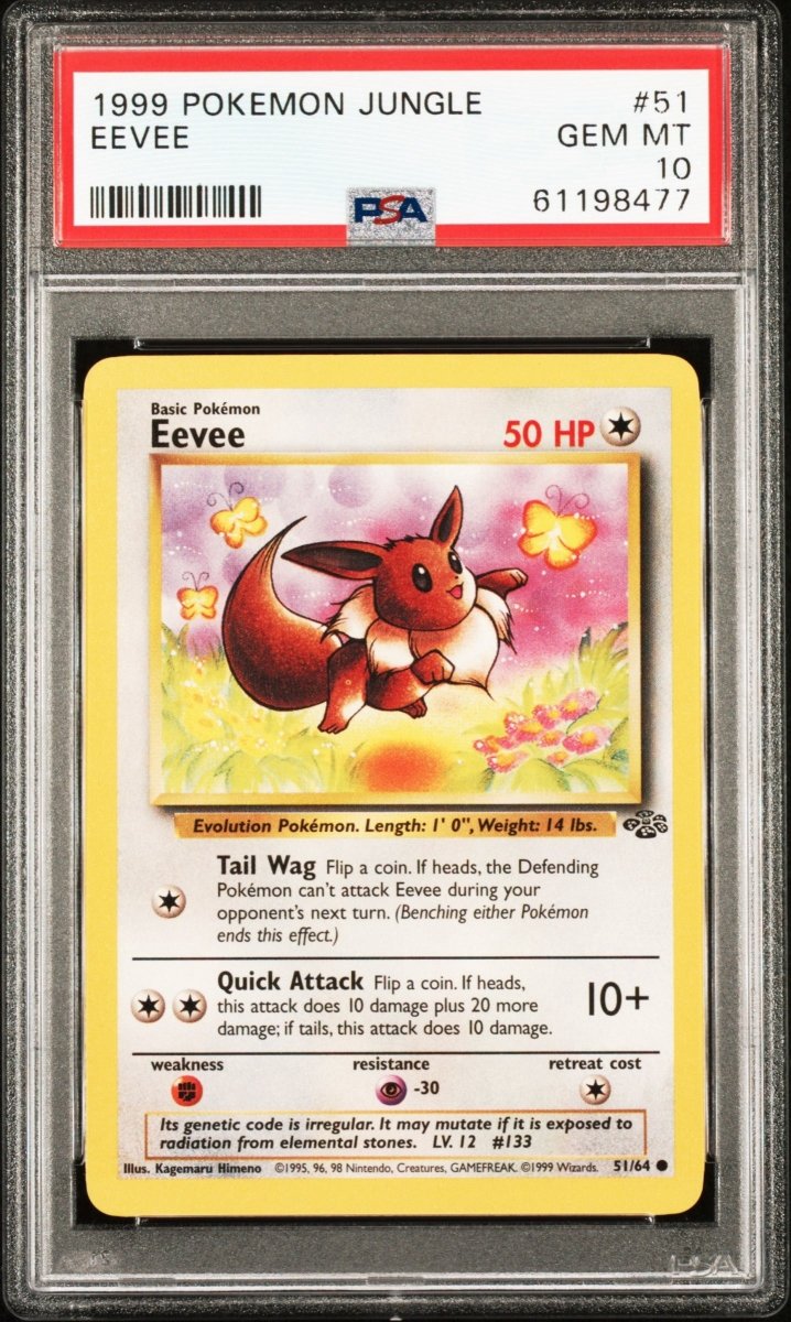 Pokemon - PSA 10 Eevee 51/64 Jungle - Mega Cash Sydney