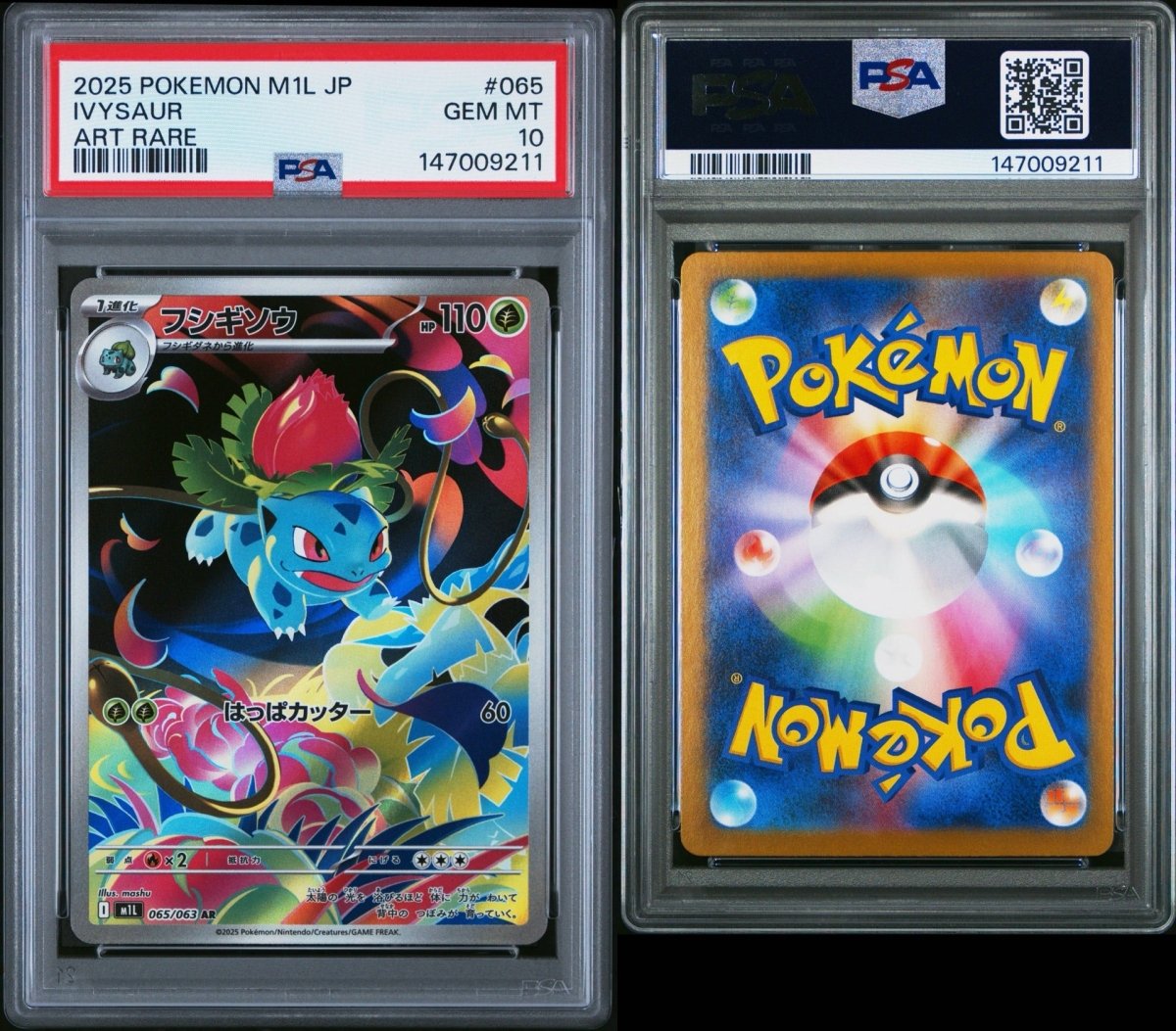 Pokemon - PSA 10 Ivysaur - Japanese Mega Brave - 065/063 - Mega Cash Sydney