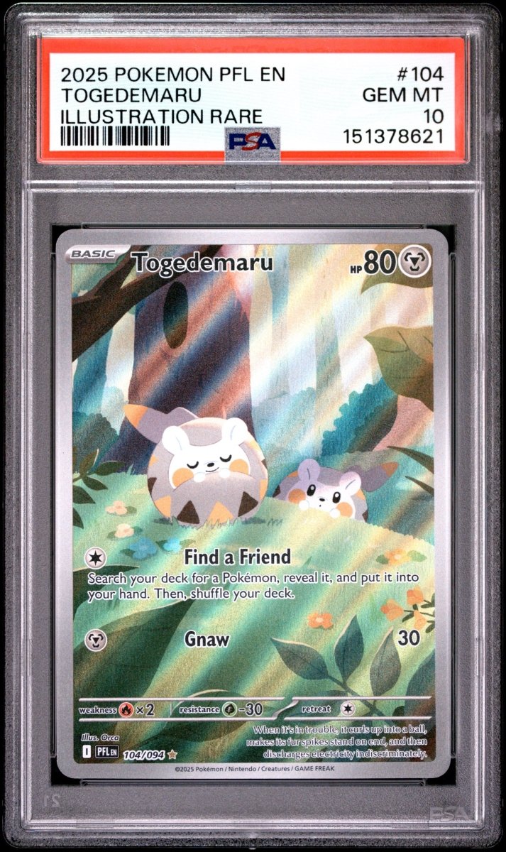 Pokémon - PSA 10 Togedemaru 104/094 Phantasmal Flames - Mega Cash Sydney
