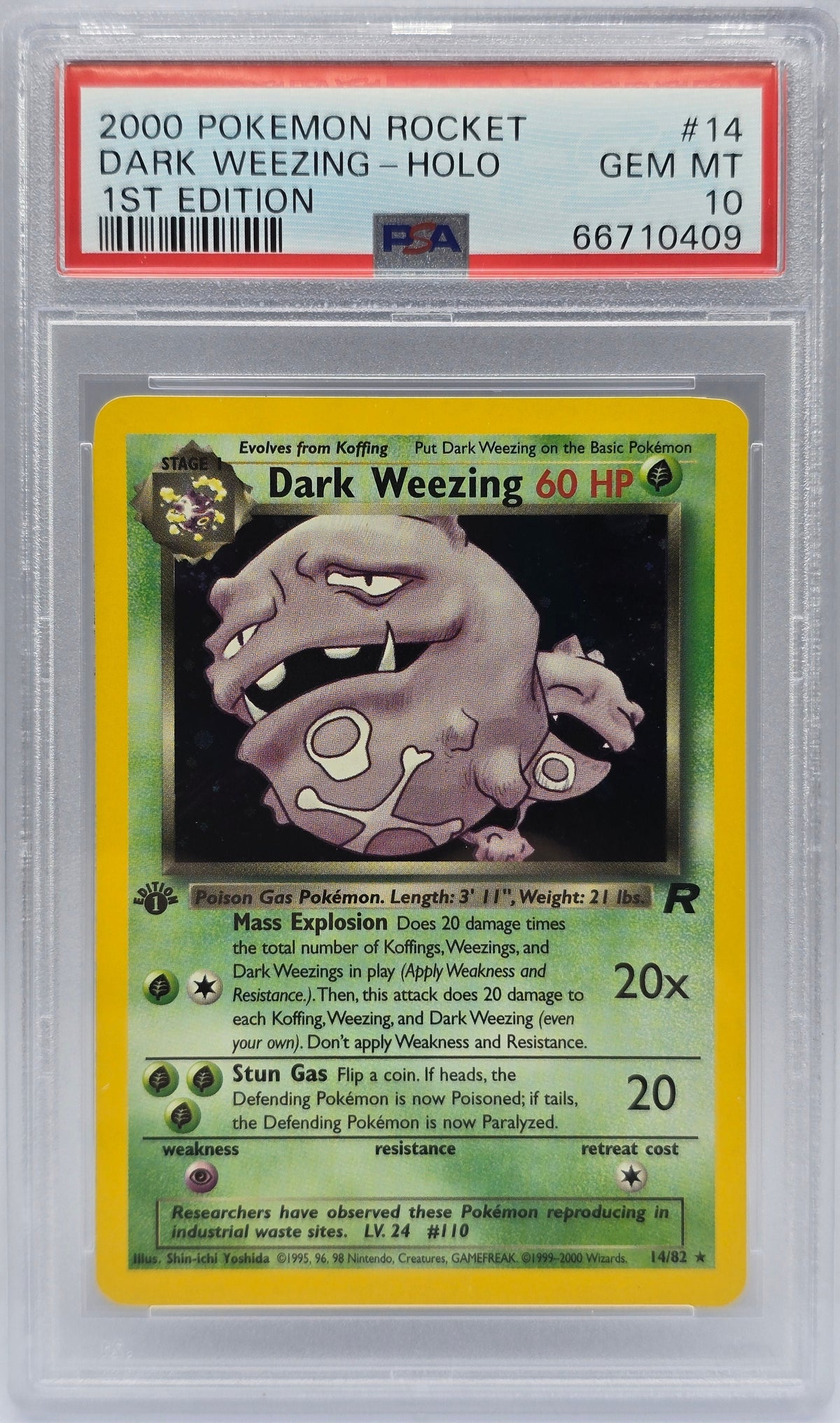 Pokemon - PSA 10 1st Edition Dark Weezing 14/82 Rocket