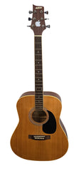 Ashton - DM25 - Acoustic Guitar