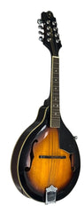 SAMICK - Greg Bennett McCoy - Mandolin - MA-1/VS - Mega Cash Sydney