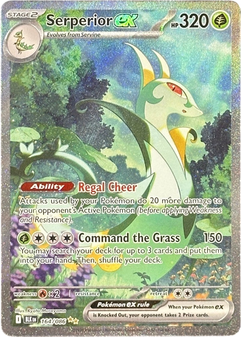Serperior EX - Black Bolt - 164/086 - Mega Cash Sydney