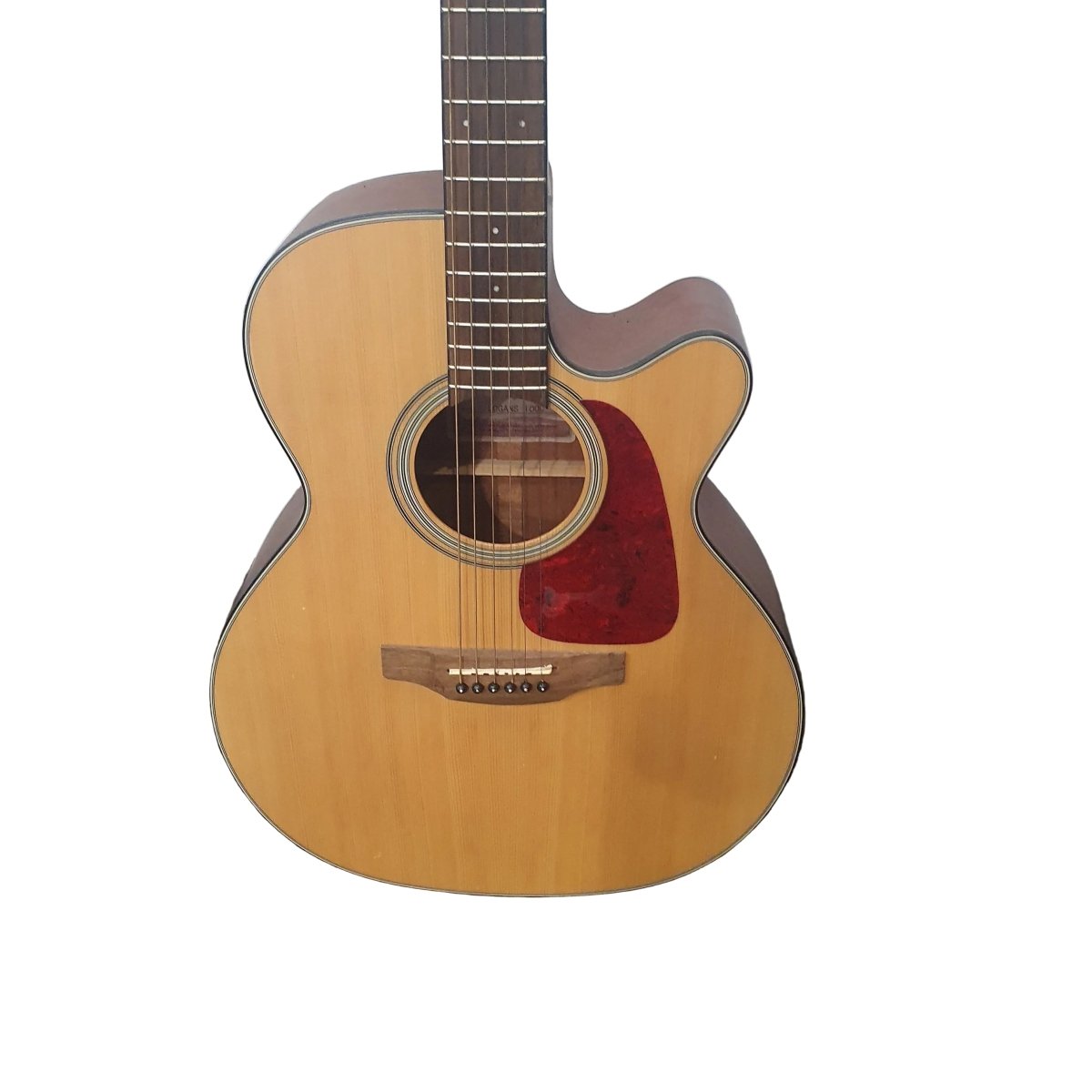 TAKAMINE - G Series - Logans 100C - Acoustic Guitar + Soft Bag - Mega Cash Sydney