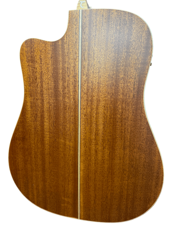 Tanglewood Winterleaf Pro Dreadnought 6 - String Acoustic Guitar - Mega Cash Sydney