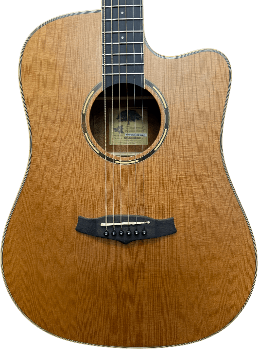 Tanglewood Winterleaf Pro Dreadnought 6 - String Acoustic Guitar - Mega Cash Sydney
