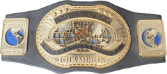 WWE - INTERCONTINENTAL CHAMPION BELT - 2000 - Jakks Pacific - Mega Cash Sydney